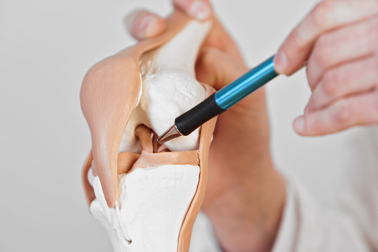 knee ligament injuries