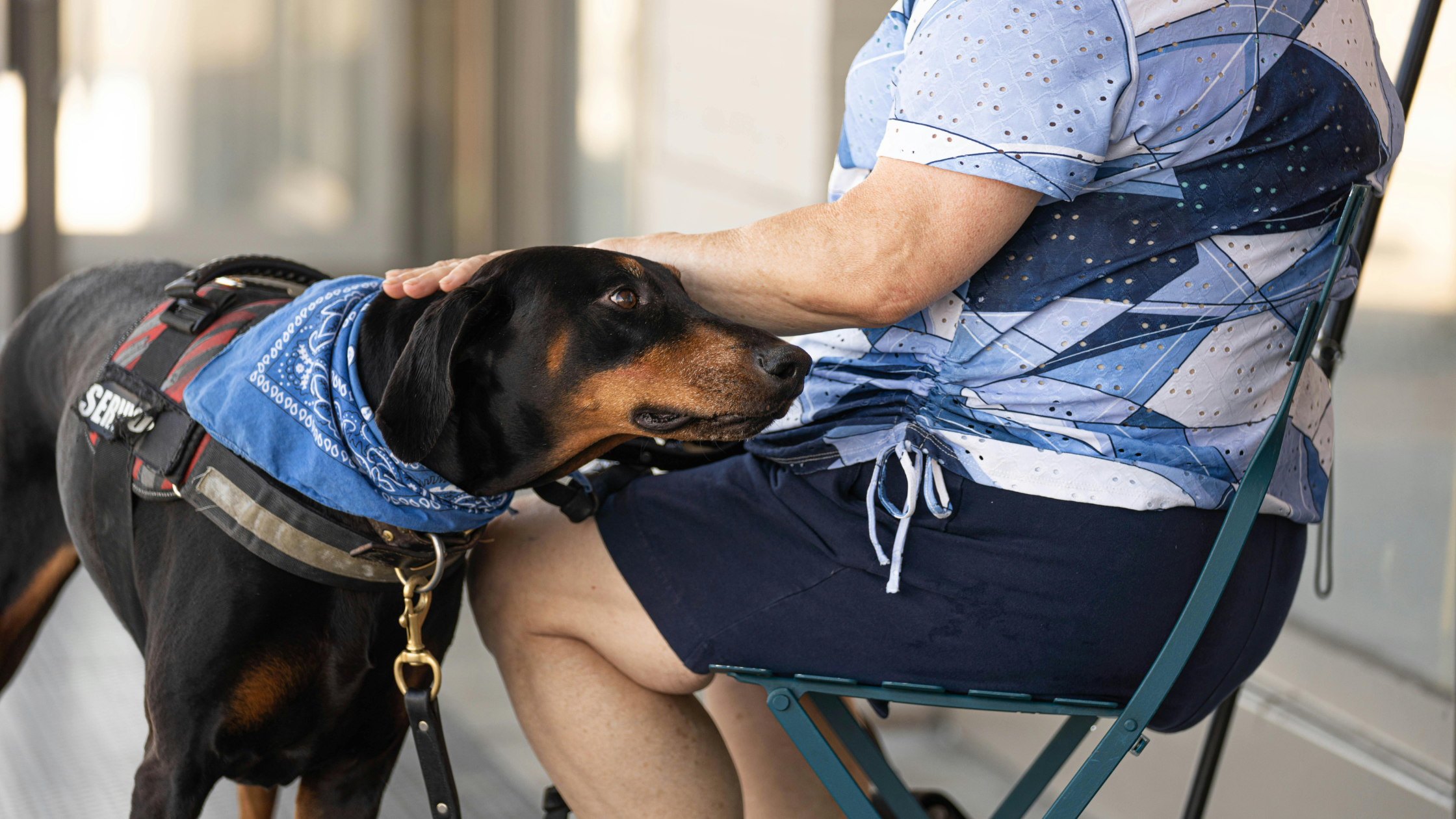 animal therapy for pain & stress reduction