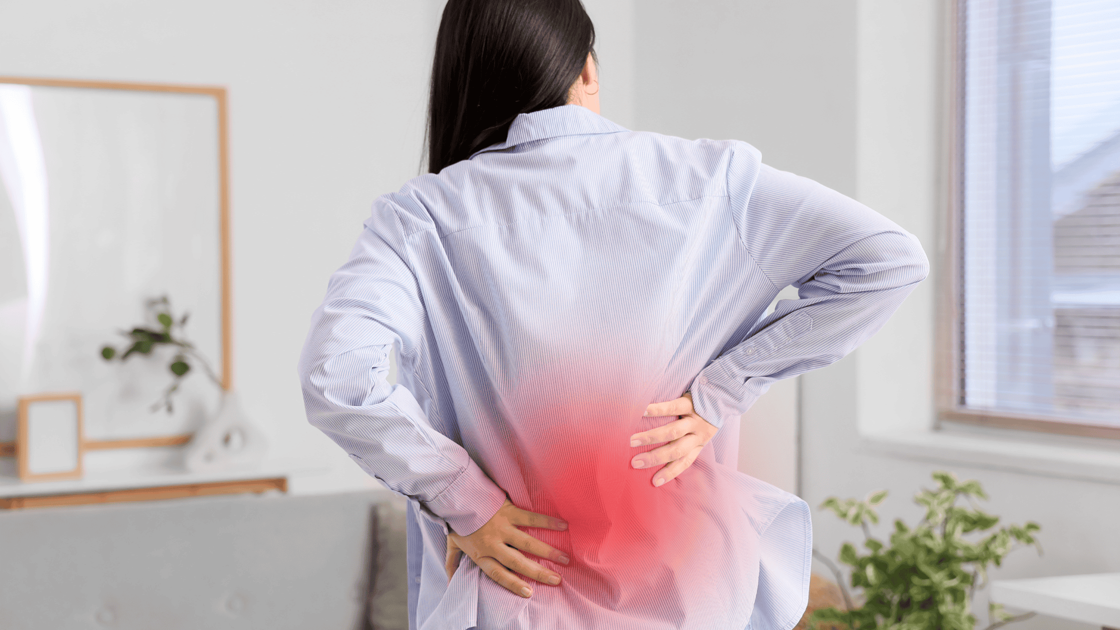 causes of lower back pain